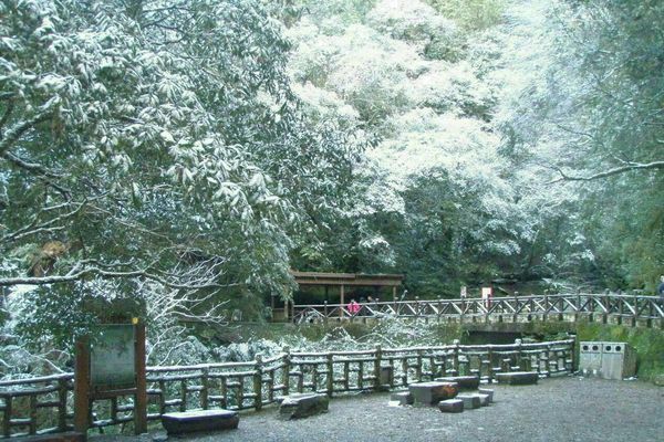 霸王寒流襲台 拉拉山下冰霰未見雪