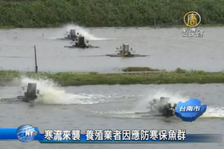 寒流來襲 養殖業者因應防寒保魚群