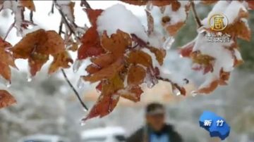 霸王寒流挾雪 新竹尖石五峰管制入山