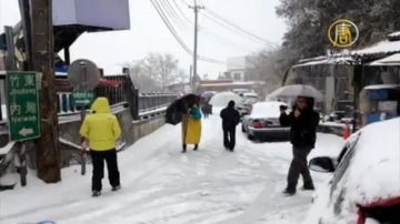 霸王級寒流全台急凍！木柵貓空飄雪