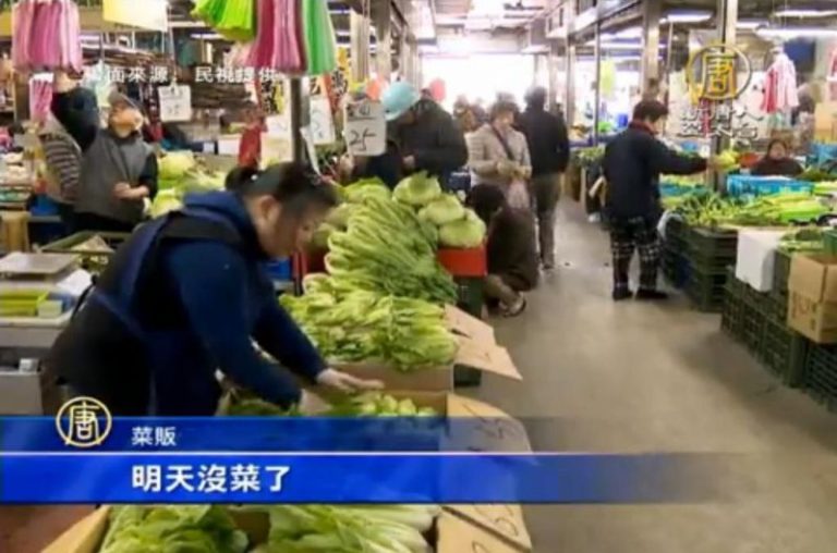 寒害蔬菜到貨量減 葉菜類漲幅5至8成