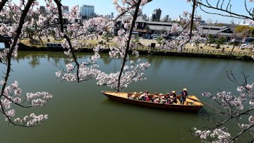 很多人都不知道的小知識！去日本旅遊這些禁忌不可犯