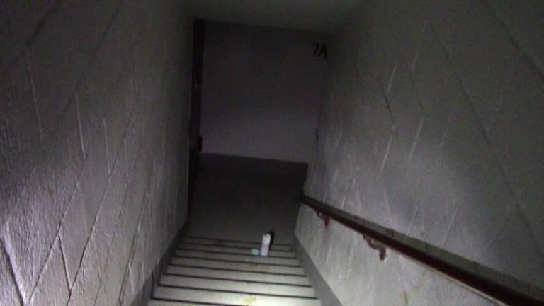 女證人泣不成聲 梁彼得搭檔首出庭