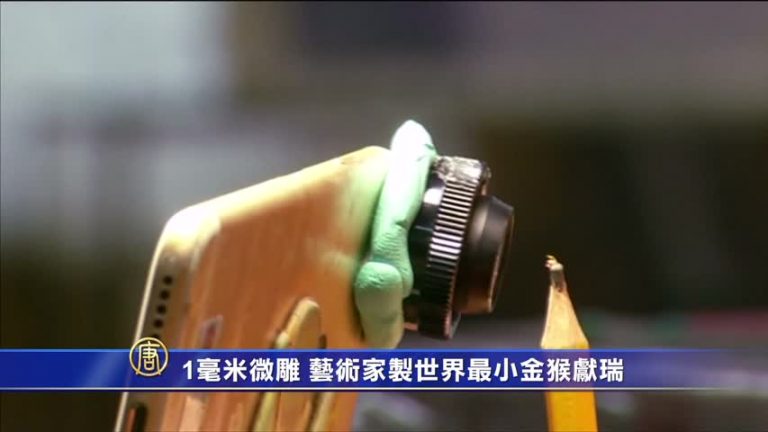 1毫米微彫 藝術家製世界最小金猴獻瑞