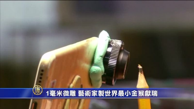 1毫米微彫 藝術家製世界最小金猴獻瑞