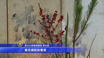 中国新年茶点花艺 居家简单做