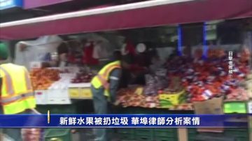 8300美元新鲜水果成垃圾  华埠律师分析案情