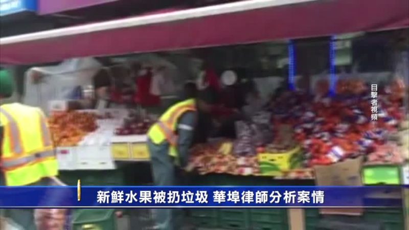 8300美元新鲜水果成垃圾  华埠律师分析案情