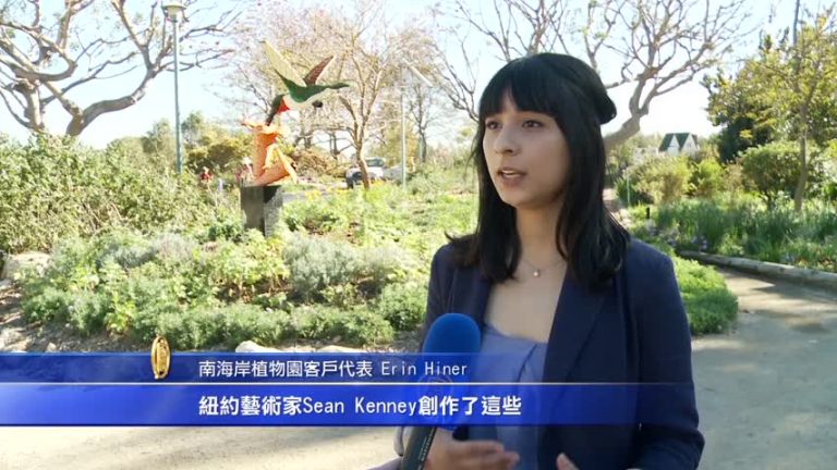 到南海岸植物園 觀樂高積木展
