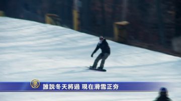 誰說冬天將過 現在滑雪正夯