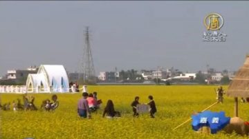 漫步花田遊教堂 嚐農村古早味「割稻飯」