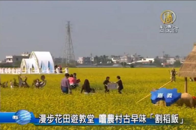 漫步花田遊教堂 嚐農村古早味「割稻飯」