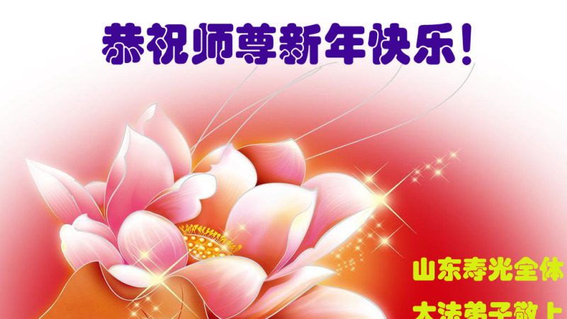 潍坊法轮功学员恭祝李洪志大师新年快乐(30条)