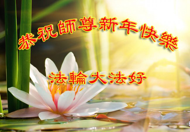广州大法轮功学员恭祝李洪志大师新年快乐(27条)