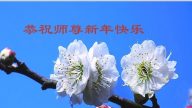湖北法輪功學員恭祝李洪志大師新年快樂(29條)