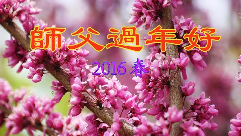 河北法轮功学员恭祝李洪志大师新年快乐(26条)