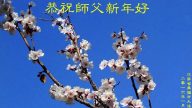 江蘇法輪功學員恭祝李洪志大師新年快樂(22條)