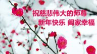 大陸法輪功學員恭祝李洪志大師新年快樂(35條)