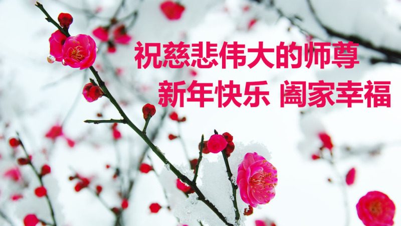 大陆法轮功学员恭祝李洪志大师新年快乐(35条)