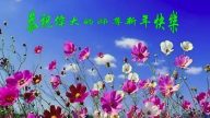 長春法輪功學員恭祝李洪志大師新年快樂(25條)