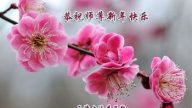 天津法輪功學員恭祝李洪志大師新年快樂(20條)