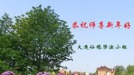 大連法輪功學員恭祝李洪志大師新年快樂(29條)