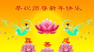 湖南法輪功學員恭祝李洪志大師新年好(27條)