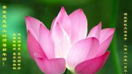 湖北法轮功学员恭祝李洪志大师新年快乐(25条)