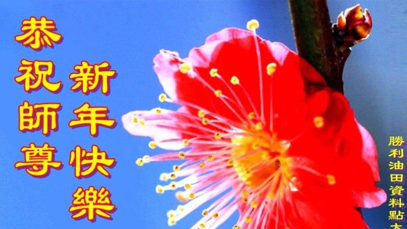 各行業法輪功學員恭祝李洪志大師新年快樂(31條)