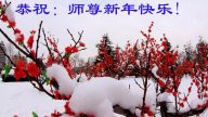 安徽法轮功学员恭祝李洪志大师新年快乐(26条)