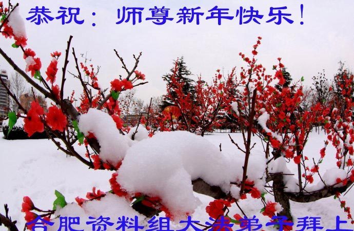 安徽法輪功學員恭祝李洪志大師新年快樂(26條)