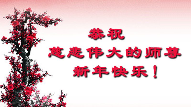 陝西法輪功學員恭祝李洪志大師過年好(22條)