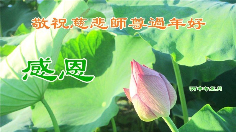 乡村法轮功学员恭祝李洪志大师新年好(25条)