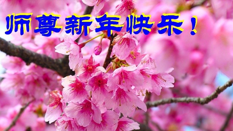 上海法輪功學員恭祝李洪志大師新年好(24條)