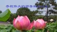 武漢法輪功學員恭祝李洪志大師過年好(28條)