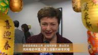 歐盟委員會副主席向中國人拜年