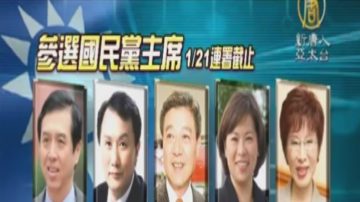 蓝防洪？陈学圣：党不改难唤回支持者