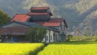 【廣告】台灣民俗風情 Home Stay