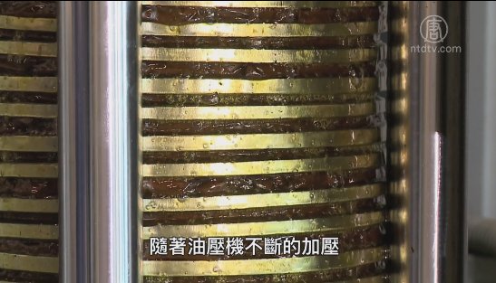 美麗心台灣：有機無毒出發 看見用心的人