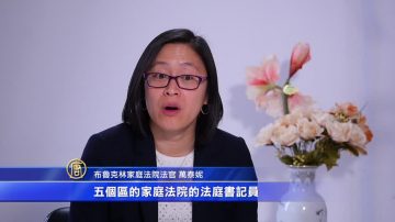 家庭法院法官：申请保护令 无需律师