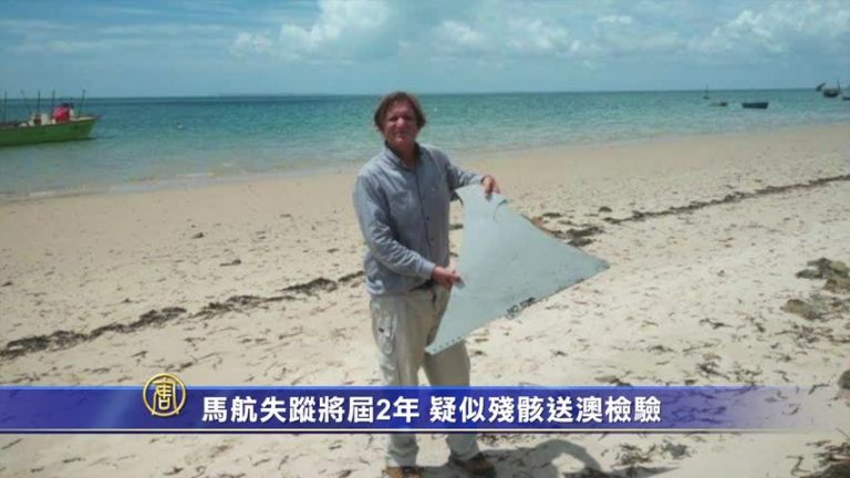 馬航MH370失蹤將屆2年 新發現飛機殘骸