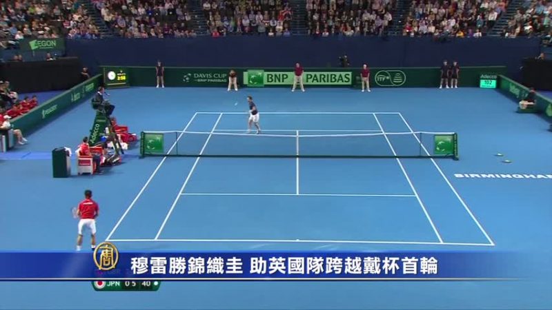 穆雷勝錦織圭 助英國隊跨越戴杯首輪