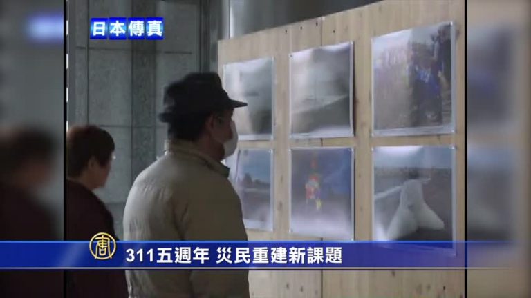 311五週年 日本福島災民重建新課題