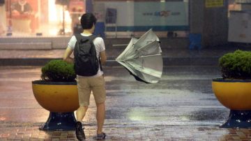 環境部發布大風警告    大溫地區還會有大雨