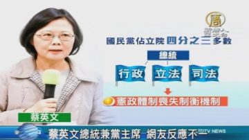 蔡英文总统兼党主席 网友反应不一