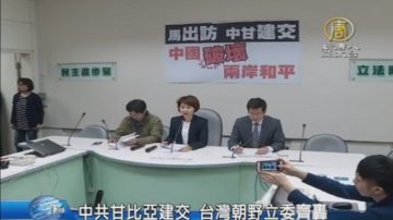 中共甘比亞建交 台朝野立委：打臉馬英九