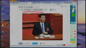 【今日点击】罗宇与习老弟商榷之六