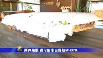 两件残骸 很可能来自马航MH370