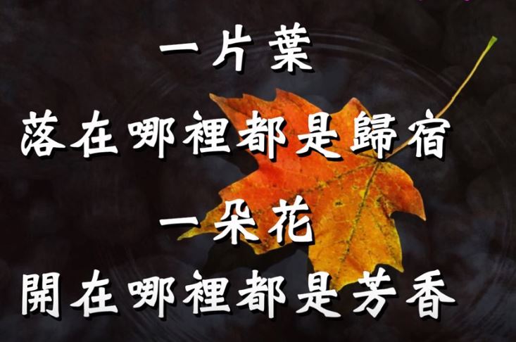 滾滾紅塵 你我皆是過客（視頻）