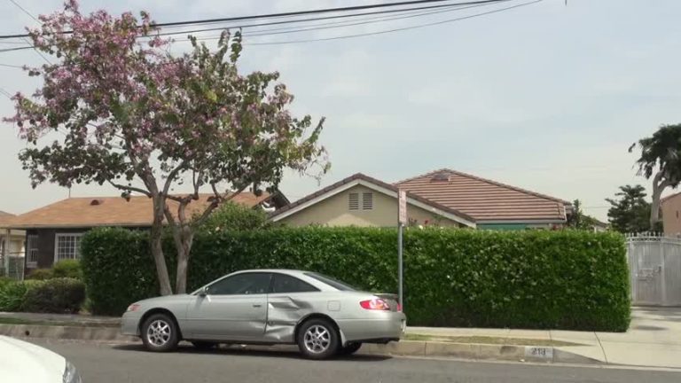 蒙市腐屍案  兇嫌首度過堂